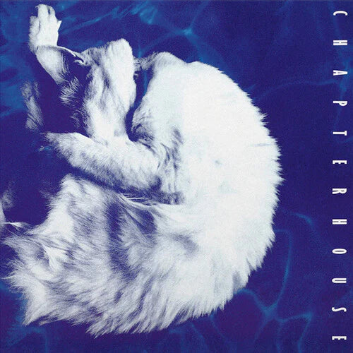 Chapterhouse – Whirlpool レコード Chapterhouse - Whirlpool LP – Signal//Noise Records